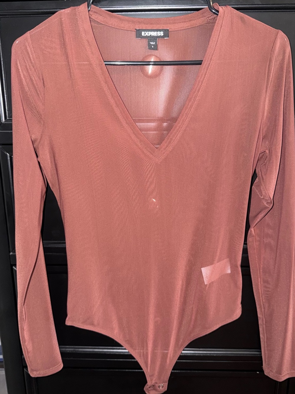 Express Rust-Tone Long Sleeve V-Neck Bodysuit